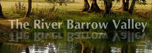 river barrow, walking, angling, ireland